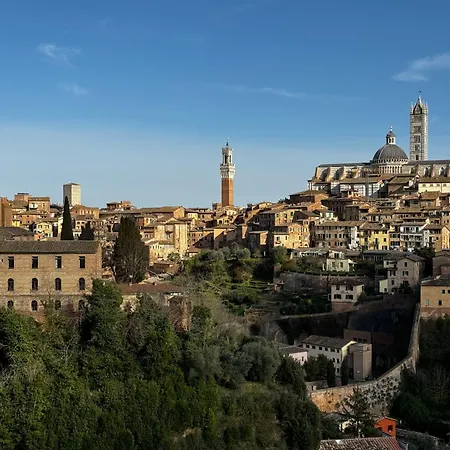 Skyline- 3 With View *