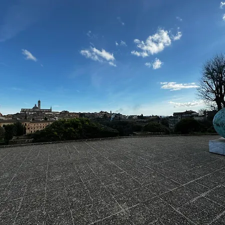 Skyline- 3 With View